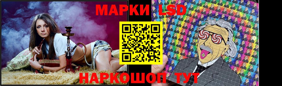 Псилоцибиновые грибы Кудымкар