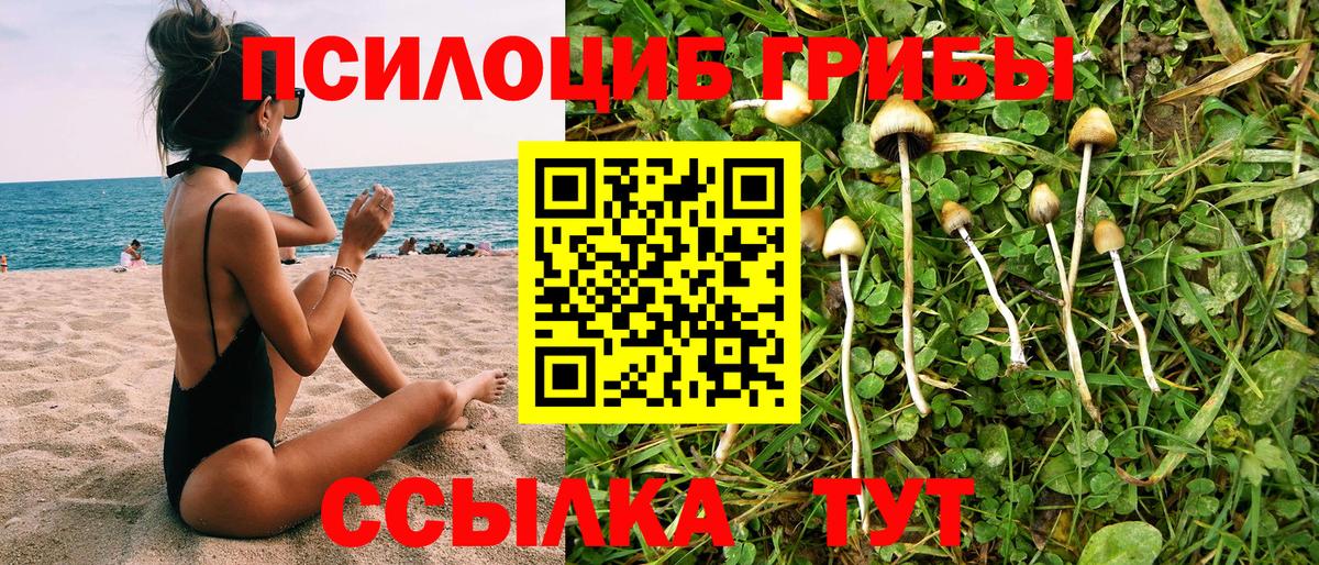 Галлюциногенные грибы Psilocybine cubensis Кудымкар
