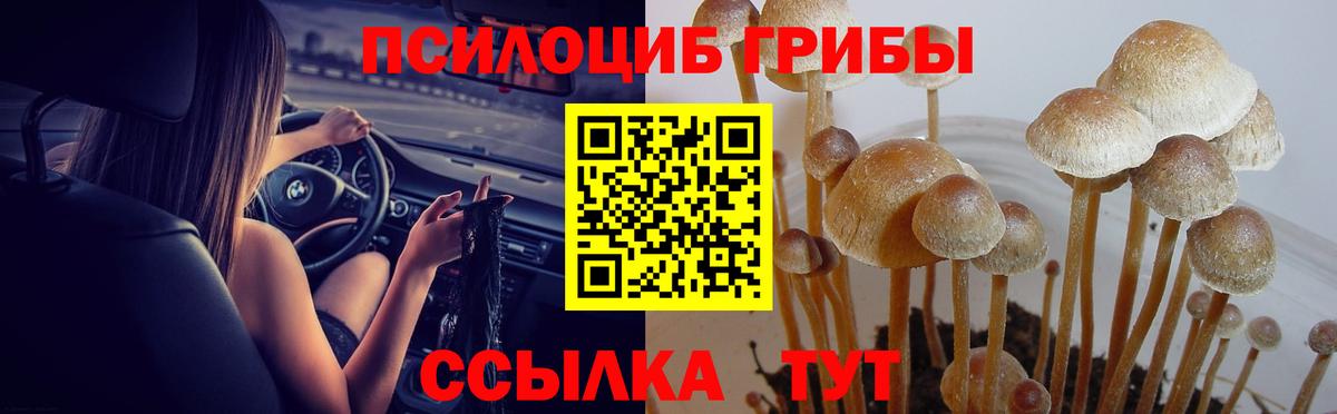 Кудымкар  Псилоцибиновые грибы GOLDEN TEACHER  Вход с VPN  где можно купить наркотик  Галлюциногенные грибы GOLDEN TEACHER 